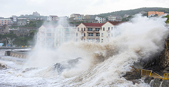 臺(tái)風(fēng)過后墻壁發(fā)霉層出不窮？還不趕緊備好除霉劑？