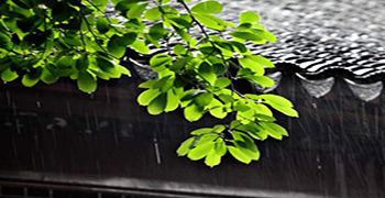 防霉劑廠家告訴你多雨季節如何防霉防潮！