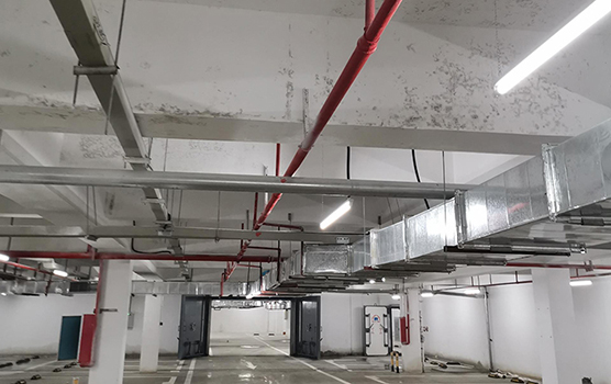 地下車庫發霉