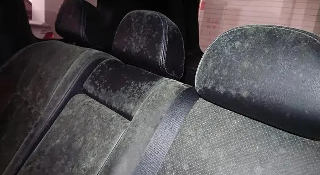 汽車坐騎發霉.webp.jpg
