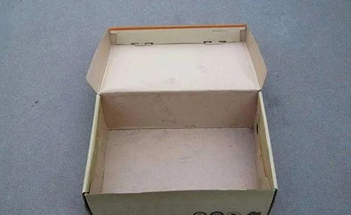 鞋盒發霉.webp.jpg